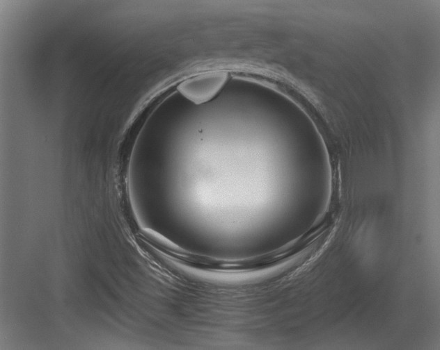 X0000084031501200702161421