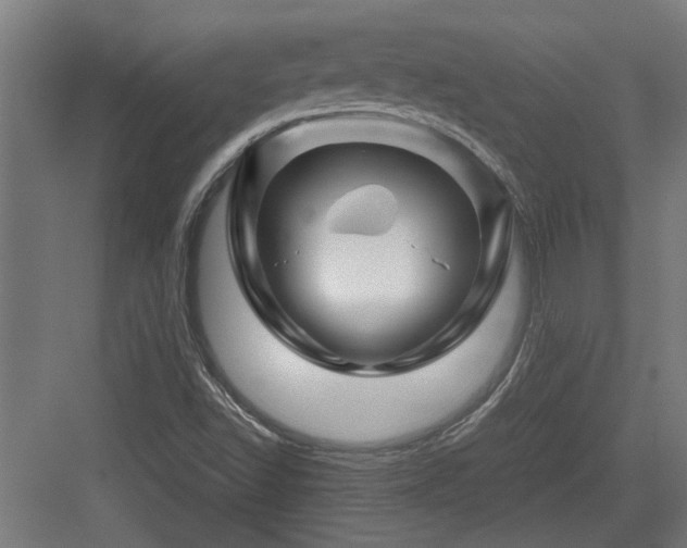 X0000084031502200702161421