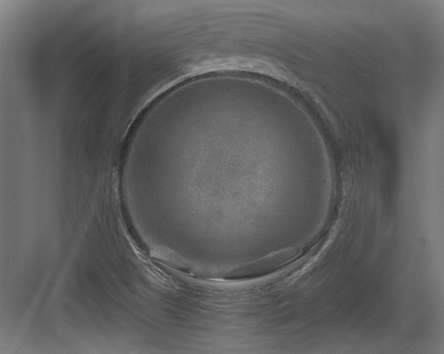 X0000084031505200702161421