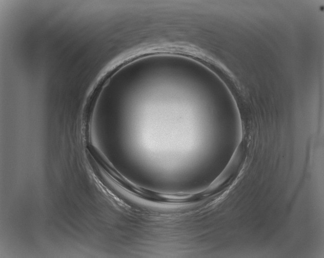 X0000084031506200702161421