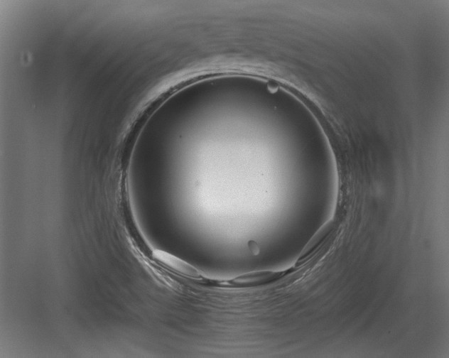 X0000084031507200702161421