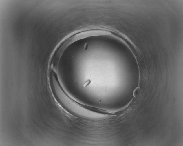 X0000084031508200702161421