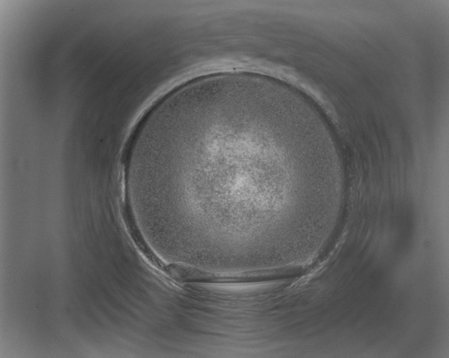 X0000084031509200702161421