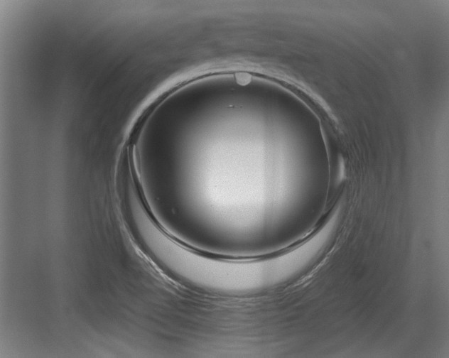 X0000084031510200702161421
