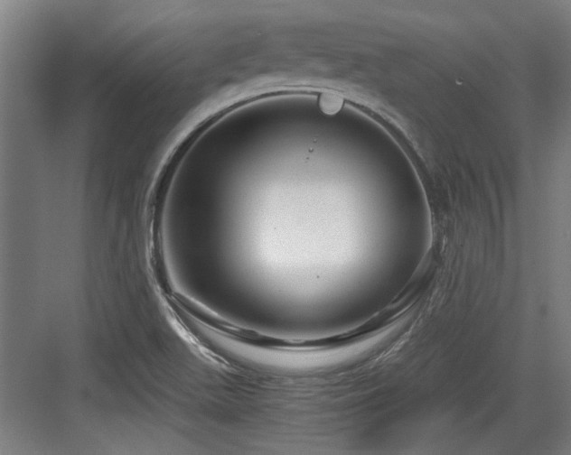 X0000084031511200702161421