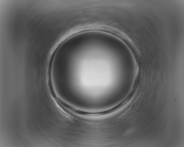 X0000084031512200702161421