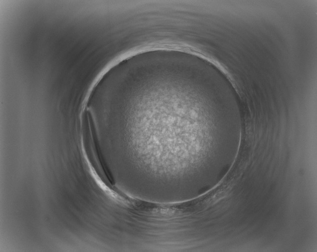 X0000084031515200702161421