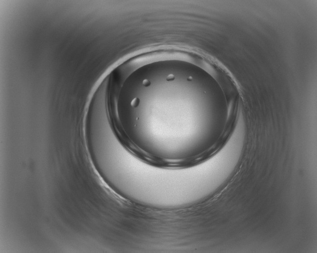 X0000084031516200702161421