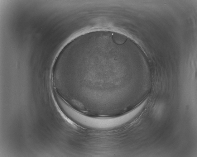 X0000084031519200702161421