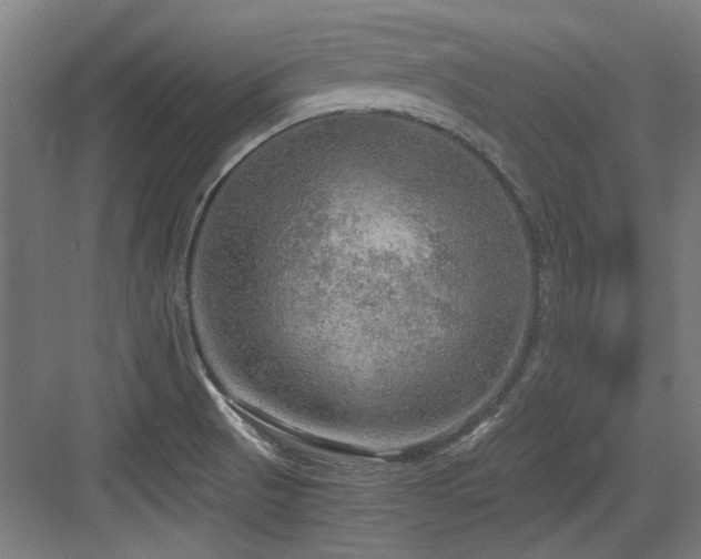 X0000084031521200702161421