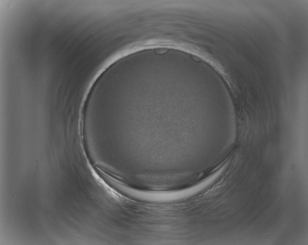 X0000084031527200702161421