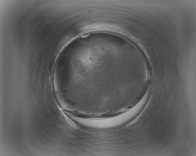 X0000084031529200702161421