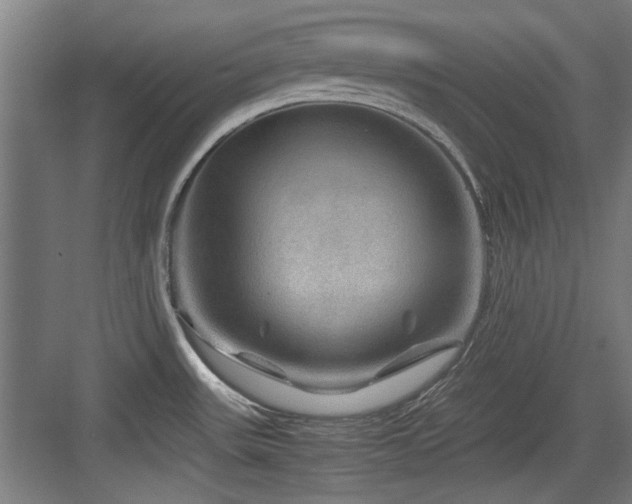 X0000084031531200702161421