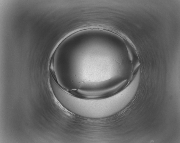 X0000084031532200702161421