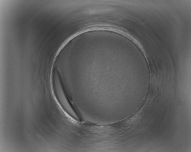 X0000084031533200702161421