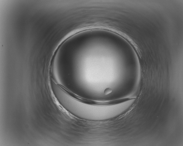 X0000084031534200702161421