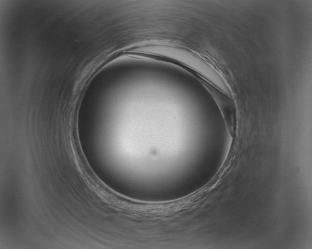 X0000084030001200702232310