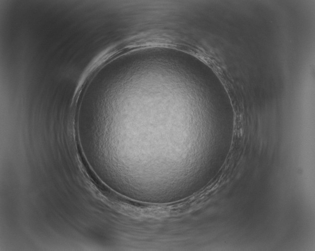 X0000084030004200702232310