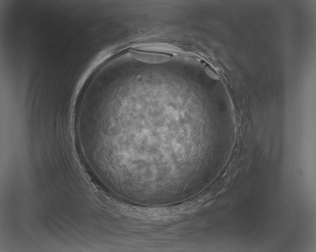 X0000084030006200702232310