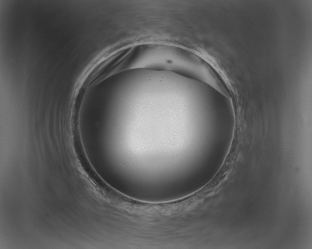 X0000084030007200702232310