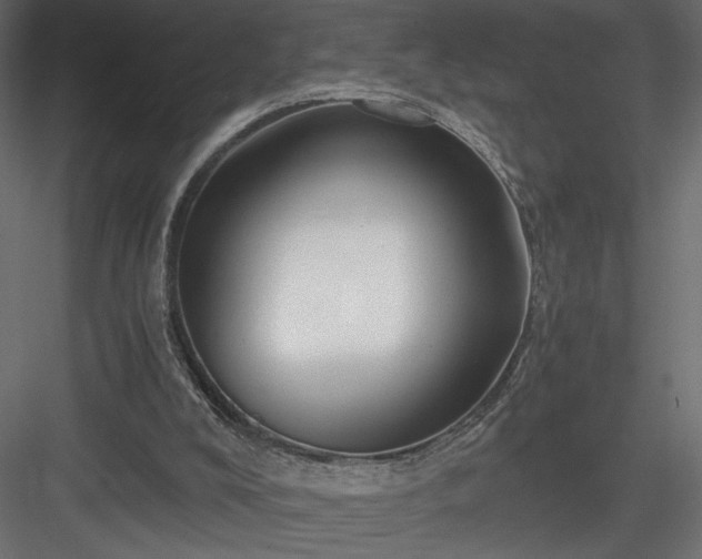 X0000084030008200702232310