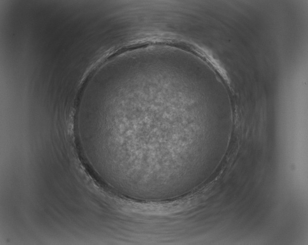 X0000084030010200702232310