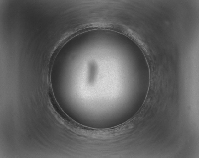 X0000084030011200702232310