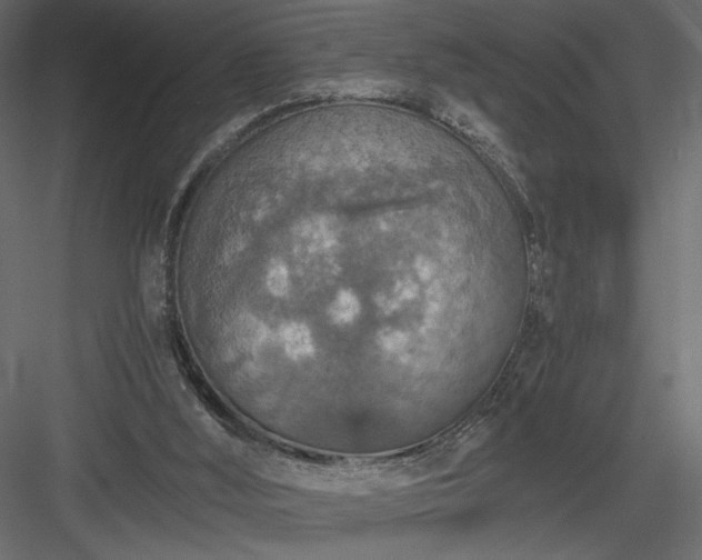 X0000084030012200702232310