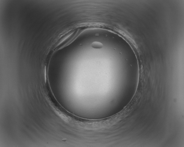 X0000084030013200702232310