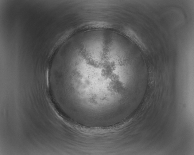 X0000084030014200702232310