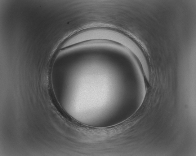 X0000084030015200702232310