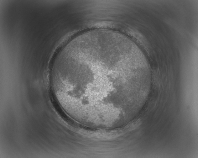 X0000084030016200702232310