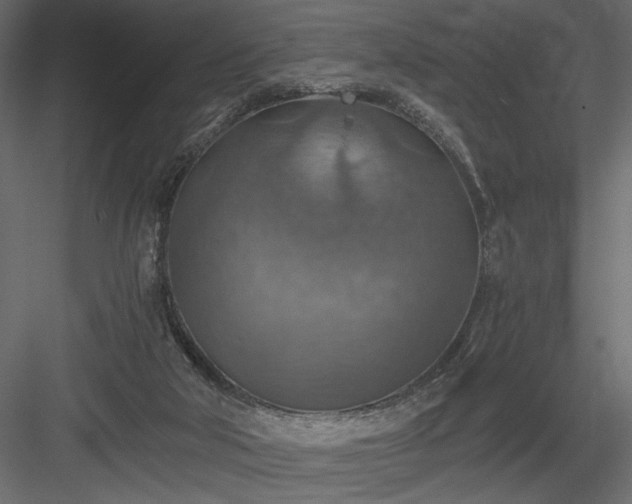 X0000084030018200702232310