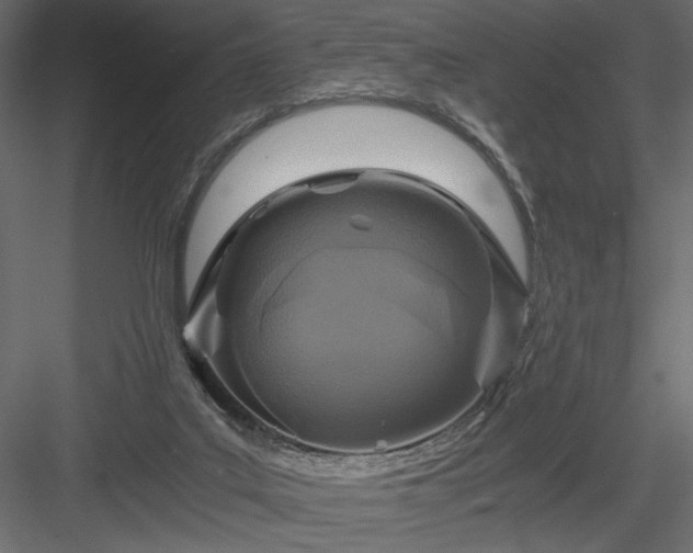 X0000084030019200702232310