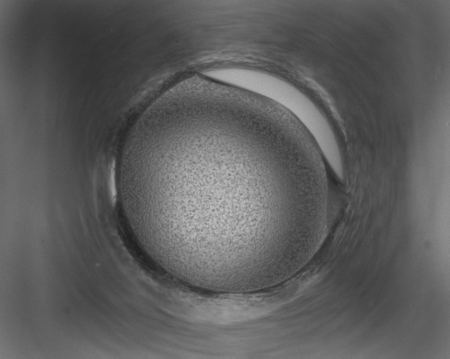 X0000084030020200702232310