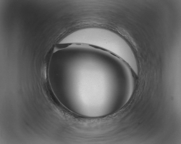 X0000084030021200702232310