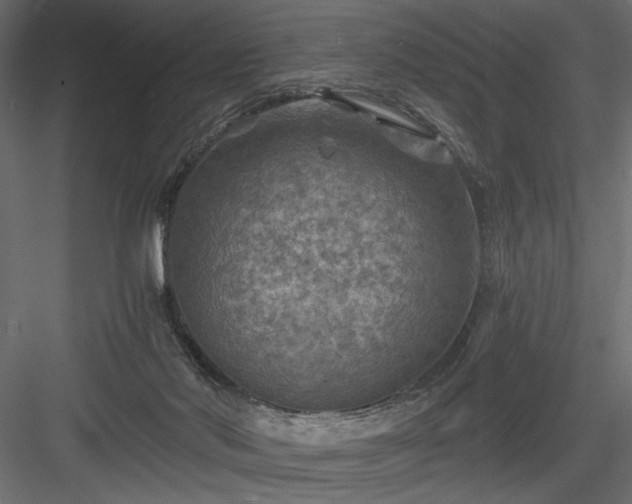 X0000084030022200702232310