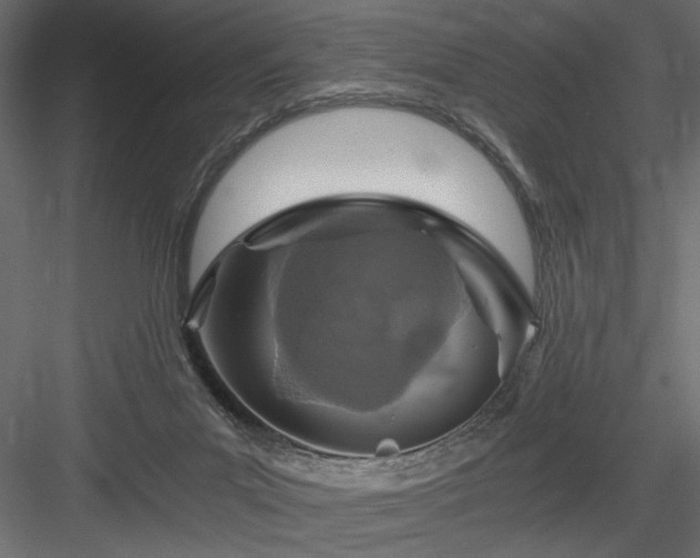 X0000084030023200702232310