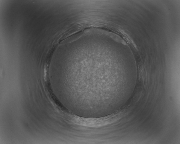 X0000084030026200702232310