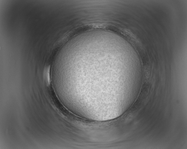 X0000084030028200702232310