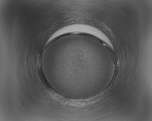 X0000084030029200702232310