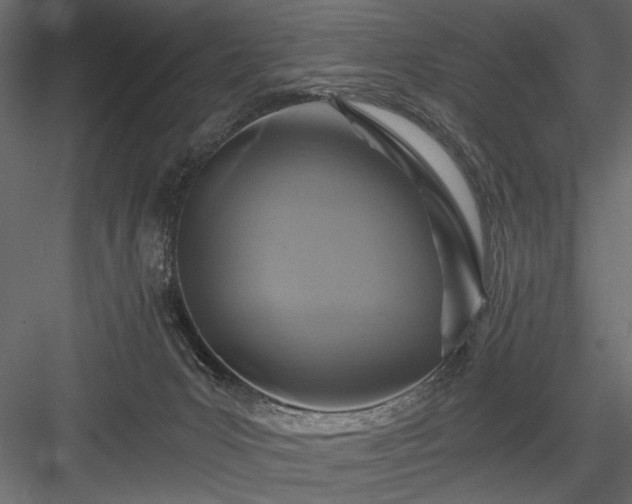 X0000084030031200702232310