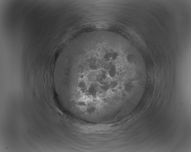 X0000084030032200702232310