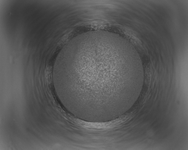 X0000084030034200702232310