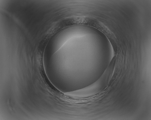 X0000084030035200702232310