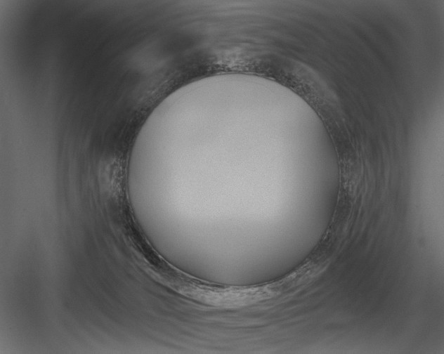 X0000084030036200702232310