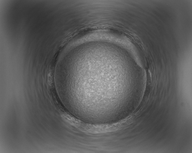 X0000084030037200702232310