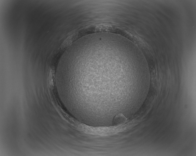 X0000084030038200702232310