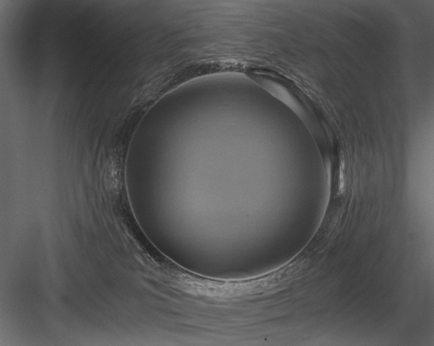 X0000084030039200702232310