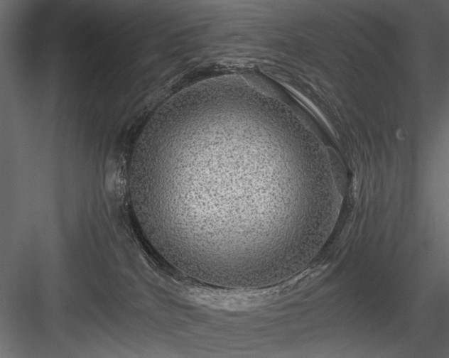 X0000084030040200702232310